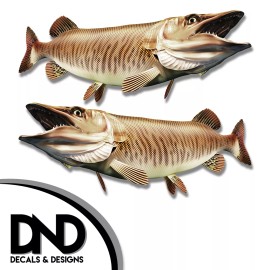 Tiger Musky - Fish Decal Fishing Tackle Box Bumper Sticker "5in SET" F-0920 D&