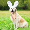 ADOGGYGO Easter Dog Bandanas 2 Pack, Triangle Reversible Bunny Carrot