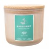 Buff City Soaps candle Narcissist 2 wick 13 oz. candle