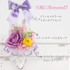 Natural Diamond Powder with puriza-budohurawa-・purinsesu Shoe