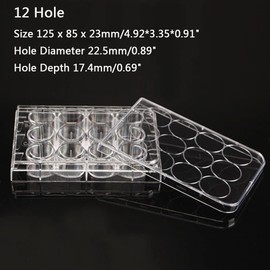 20PCS Tissue Culture Plate, 6/12 / 24/48 Holes Polystyrene Cell Culture Petri Dish for Lab Experiment Instrument