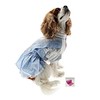 Dorothy (Wizard of Oz) Blue Gingham Dog Dress Costume with