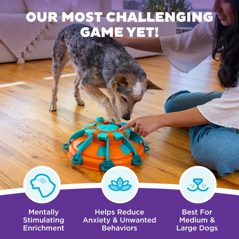 Outward Hound by Nina Ottosson Tower of Treats Level 4