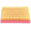 Road Passion AP8104329 Air Filter Replacement for CAN-AM Spyder 1000