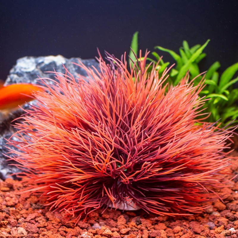 TAOMYPETS Fish Tank Decorations Aquarium Plants Plastic Artificial Décor (Black