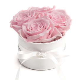 Rosmarie Schulz Heidelberg Rose Box, White Round Infinity Rose, Flower Box Preserved Rose