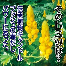 Sansan Soocha Health Tea 0.1 oz (4 g) x 15 Package, Refreshing Tea