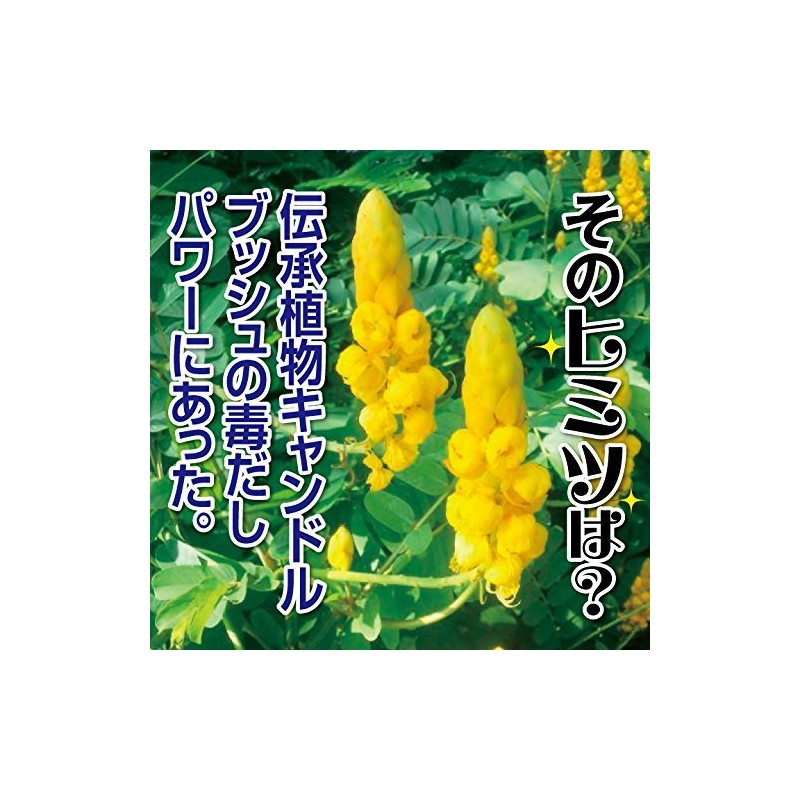 Sansan Soocha Health Tea 0.1 oz (4 g) x 15