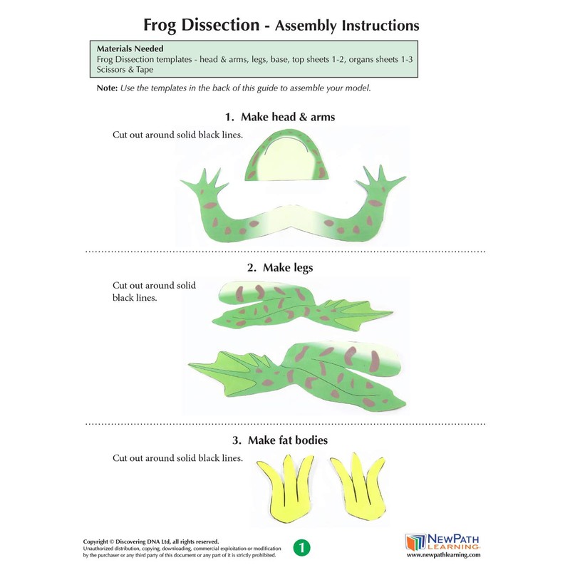 NewPath Learning Frog Dissection 3-D Model Making Kit, Set/5 Full-Color,