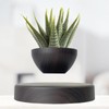 FLYSWITCH Magnetic Levitatng Plant Pot, Floating Plant Pot, Small Bonsai