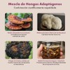 CalmaFunga - Tintura Adaptógena de Doble Extracción | Blend de