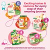 Cow & Gate Fruit Pouch Apple Mango Orange & Carrot