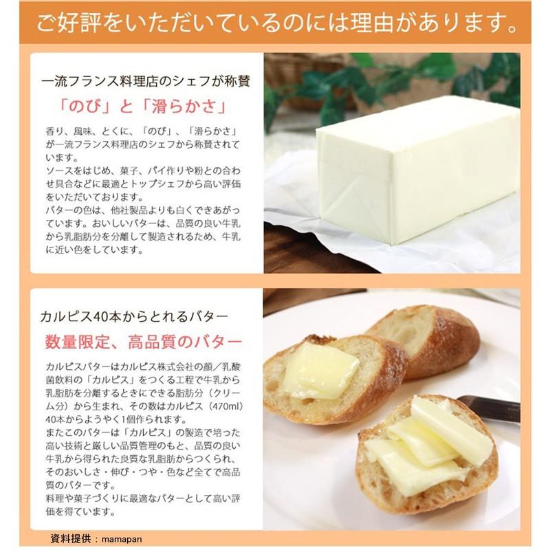 Butter Calpis Co., Ltd. Salted Butter 15.9 oz (450 g)