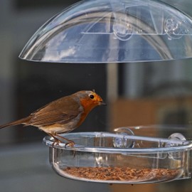 Jacobi Jayne Small Window Bird Feeder I Love Robins Window Feeder - Window Bird Feeder UK for Small Birds, Window Bird Feeder with Strong Suction Cups