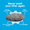 Boxie Unscented 30 Day Odor Control Clumping Clay Cat &