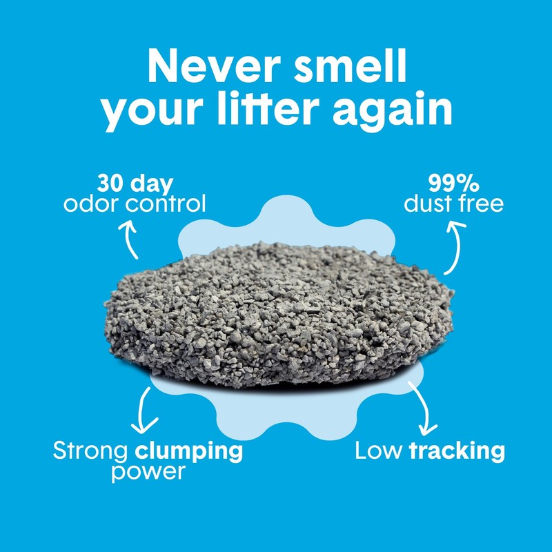 Boxie Unscented 30 Day Odor Control Clumping Clay Cat &