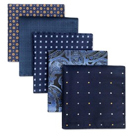 Shlax & Wing 5 Pcs Men's Pocket Square Set Business Striped Silk, HSET2-43
