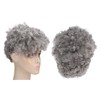 Curly Gray Short Afro Wig Synthetic Hairstyles Grey Black Short