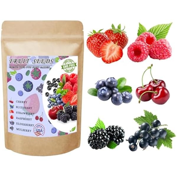 Mix Fruit Seeds 1100+ Berry Seeds for Planting Strawberry Raspberry