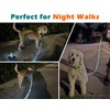 PetBonus 5 FT LED Dog Leash, Rechargeable Light Up Rope