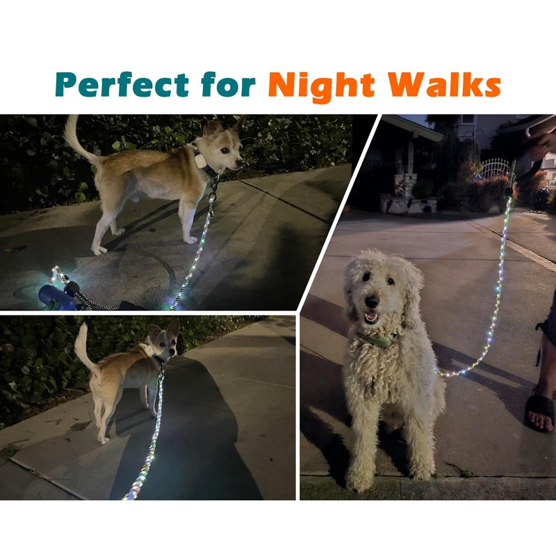 PetBonus 5 FT LED Dog Leash, Rechargeable Light Up Rope