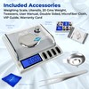Gemini-20 Milligram Scale – Digital Jewelry/Lab Scale for Powder, Gold,