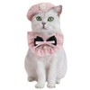 WEILFYONK Dog Birthday Hat Bow Tie Dog Cat 2 Pack