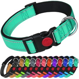 LARRYROO Reflective Dog Nylon Collar | Slide Lock Safety Buckle | Fully Adjustable | Soft Neoprene Padding (Turquoise, Small (25cm - 40cm Neck))