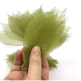 Thai Handmade 100 Pcs Olive Green Skeleton Leaves Rubber Tree Natural Scrapbook Craft CARD Wedding By RATREE SHOP