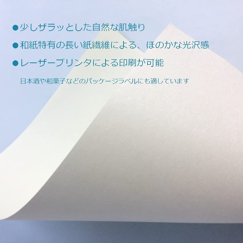 Paper Entrance Shoji Repair Stickers, Washi Paper, A4, 8 Sheets,