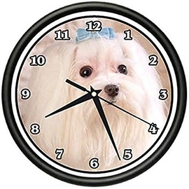 SignMission Maltese Wall Clock Dog Doggie pet Breed Gift
