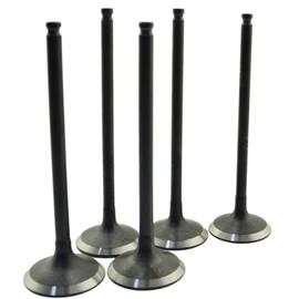 AHL Juego de válvulas para Yamaha YZ250 YZ250F YZF250 2001-2013 (juego de válvulas de escape de admisión)