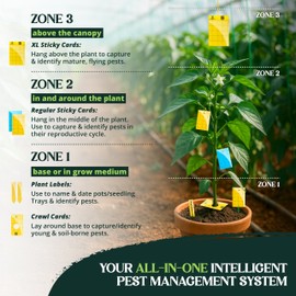 Catchmaster GRO Blue Regular Double Sided Sticky Traps 72PK, Adhesive Bug & Fruit Fly Trap, Pest Control for Home, Farm, Garden, Hydroponics & Greenhouse, Protect Live Plants Indoor & Outdoor