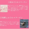 Princess Collagen Supplement, Marine, Fish-Derived Peptides, Low Molecules, Proteoglycan, 60-Day