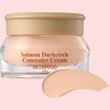 SKINFOOD Salmon Dark Circle Concealer 10g, No. 2 Salmon Beige,