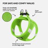 CollarDirect Step-in Reflective Dog Harness - Any Weather Air Mesh