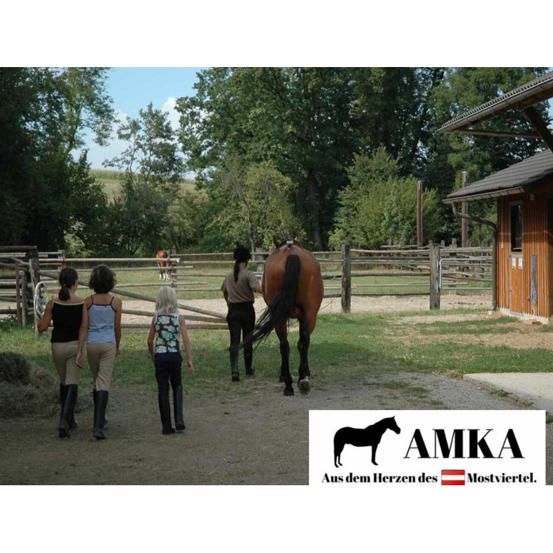 AMKA Short Girth Saddle Girth Faux Fur Padded 4 Way