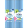 St. Ives Cleansing Stick, Cactus Water & Hibiscus, 1.59 Ounce