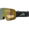 ALPINA PENKEN Q-LITE Mirrored, Contrast Enhancing & Polarised OTG Ski
