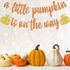 Orange Glitter A Little Pumpkin is on the Way Banner,