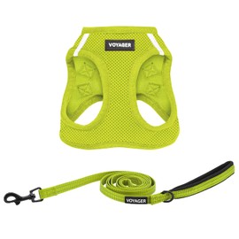 Voyager Step-in Air All Weather Mesh Harness and Reflective Dog 5 ft Leash Combo with Neoprene Handle, for Small, Medium and Large Breed Puppies by Best Pet Supplies - Leash Harness (Lime Green), M