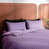 2 Pack Zippered Velvet Queen Pillowcases, Super Soft and Cozy