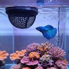 Bruislard 2 PCS Betta Bed, Floating Betta Hide & Shrimp