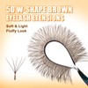 W Eyelash Extensions D Curl 0.07mm 8-15mm Mix Tray Brown