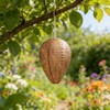 Wasp Trap 4-Pack-Attract & Trap Wasps, Hornets, Yellow Jackets; Protect