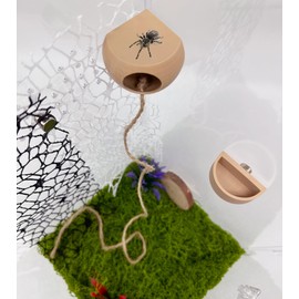 Jumping Spider Hide with Magnets & Feeding Dish – Enclosure Accessories for Pet Jumping Spiders, Hideout Set for Spider Habitat (Beige) (Terrarium Not Included)