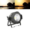 TENGCHANG 100W COB Light 2/4 Channels Warm Cool White Led