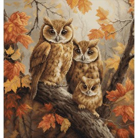 Luca-S Kit de punto de cruz The Owls Family, BU5045, kit de punto de cruz contado para adultos, kit de bordado y bordado