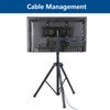 Portable TV Tripod Stand with 360 Swivel and Tilt Mount