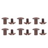 200 Sets Book Binding Screw Uniform Coating Curved Surfaces Brass